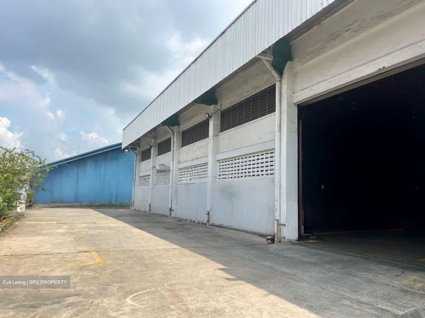 Palm Mansions (D5), Warehouse #582087641